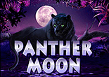 Игровой автомат Panther-Moon